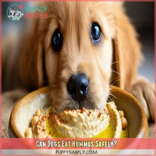 Can Dogs Eat Hummus Safely