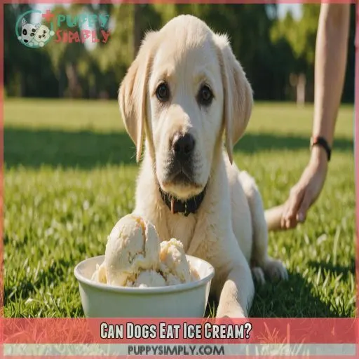 Can Dogs Eat Ice Cream