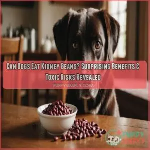 can dogs eat kidney beans