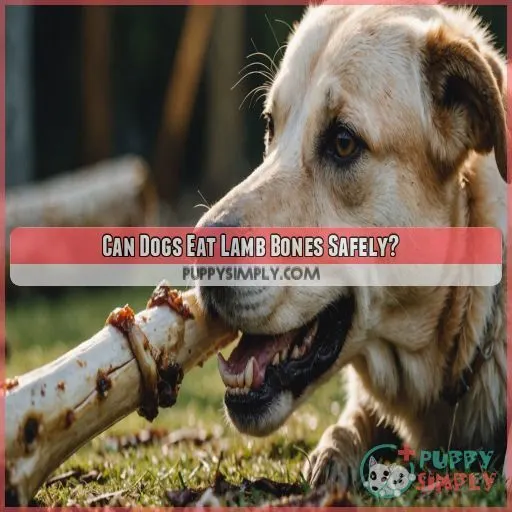 Can Dogs Eat Lamb Bones Safely