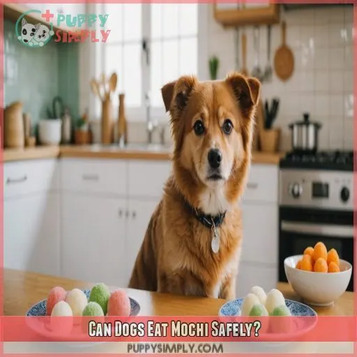 Can Dogs Eat Mochi Safely