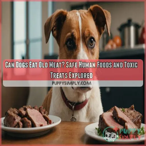 can dogs eat old meat