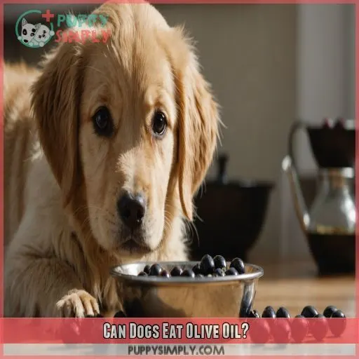 Can Dogs Eat Olive Oil