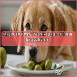 Can Dogs Eat Olives