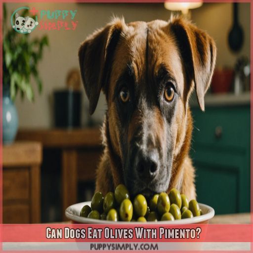 Can Dogs Eat Olives With Pimento