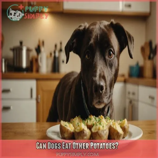 Can Dogs Eat Other Potatoes