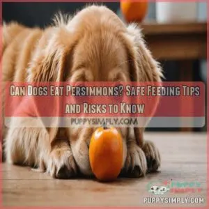 can dogs eat persimmons