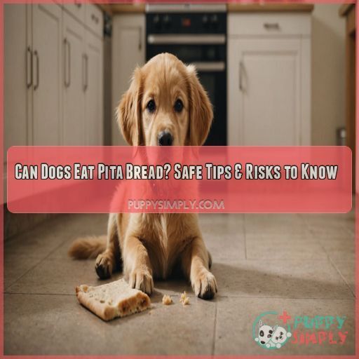 can dogs eat pita bread can dogs eat pita bread