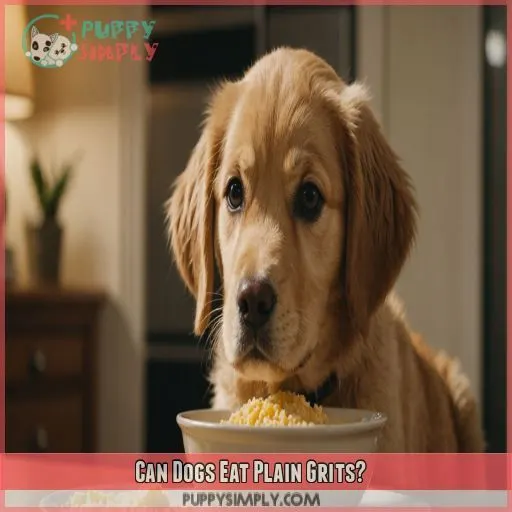 Can Dogs Eat Plain Grits