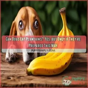 Can Dogs Eat Plantain