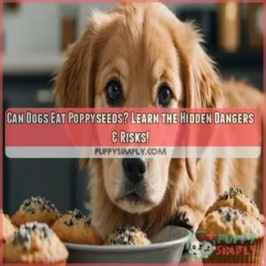 can dogs eat poppyseeds