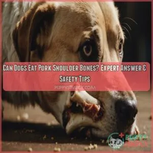 Can Dogs Eat Pork Shoulder Bone