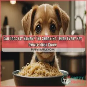 can dogs eat ramen