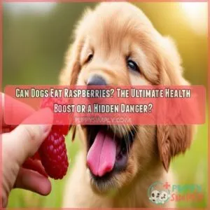 Can Dogs Eat Raspberries