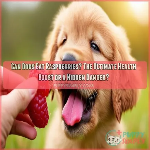 can dogs eat raspberries