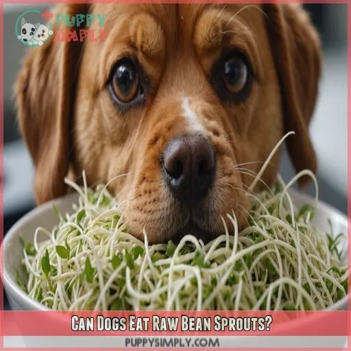 Can Dogs Eat Raw Bean Sprouts