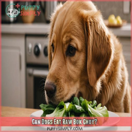 Can Dogs Eat Raw Bok Choy