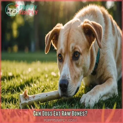 Can Dogs Eat Raw Bones