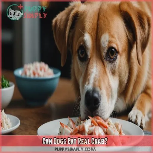 Can Dogs Eat Real Crab