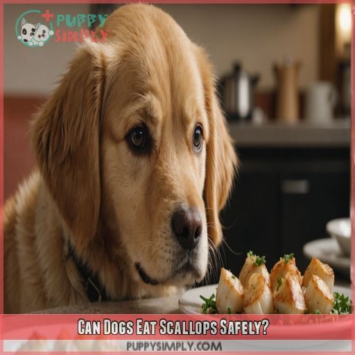 Can Dogs Eat Scallops Safely Can Dogs Eat Scallops Safely