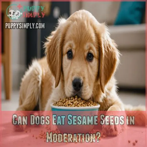 Can Dogs Eat Sesame Seeds in Moderation