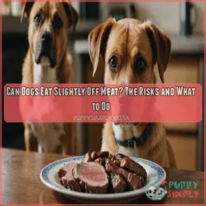 Can Dogs Eat Slightly Off Meat