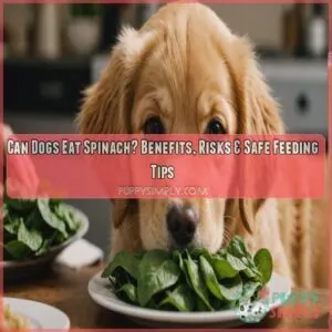 Can Dogs Eat Spinach