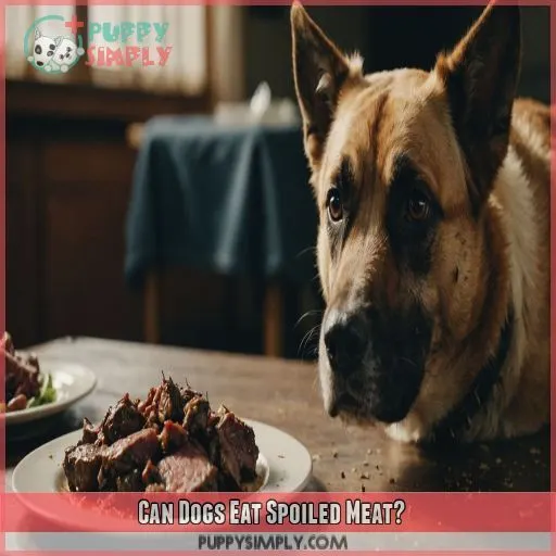 Can Dogs Eat Spoiled Meat