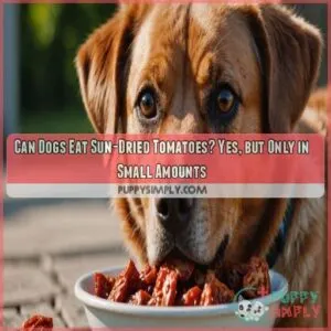 can dogs eat sun dried tomatoes