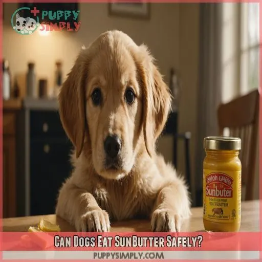 Can Dogs Eat SunButter Safely