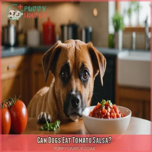 Can Dogs Eat Tomato Salsa