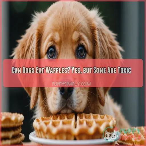 can dogs eat waffles