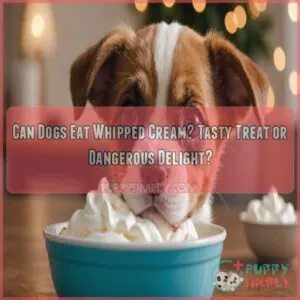 can dogs eat whipped cream