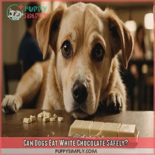 Can Dogs Eat White Chocolate Safely