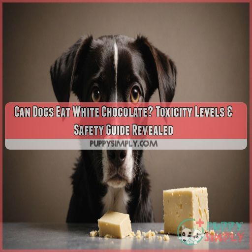 Can Dogs Eat White Chocolate? Toxicity Levels & Safety Guide Revealed