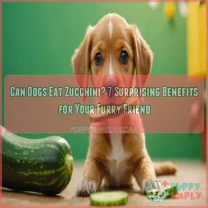 can dogs eat zucchini