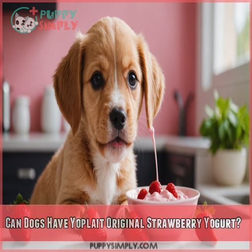 Can Dogs Have Yoplait Original Strawberry Yogurt