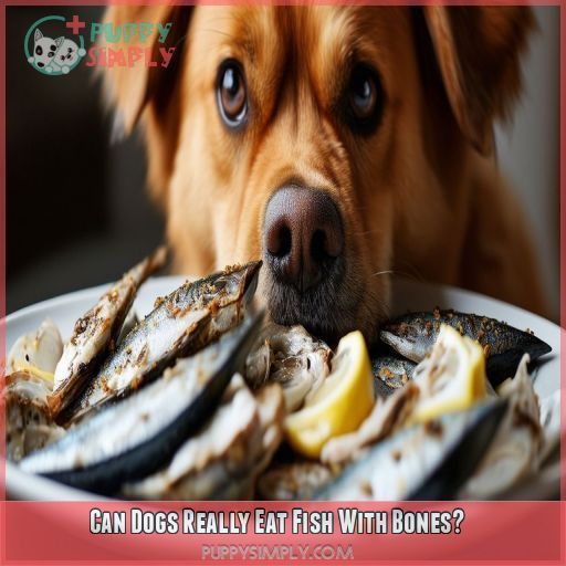 Can Dogs Really Eat Fish With Bones