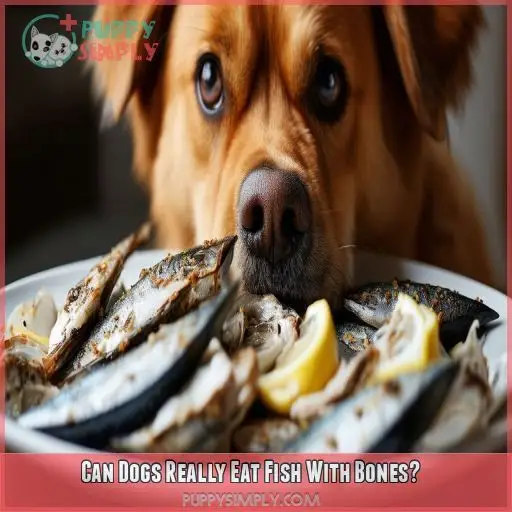 Can Dogs Really Eat Fish With Bones