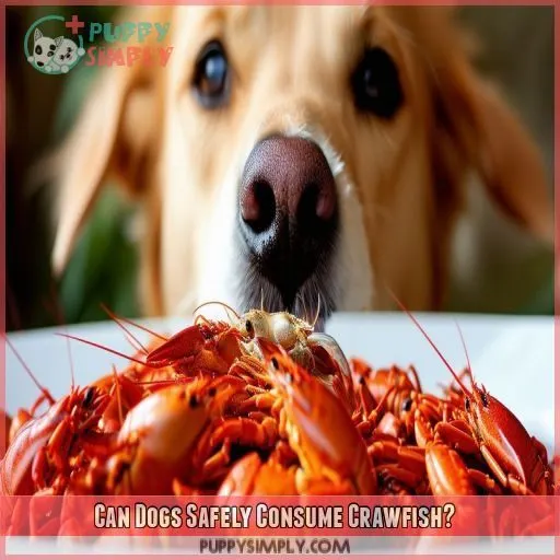 Can Dogs Safely Consume Crawfish