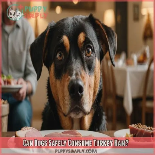 Can Dogs Safely Consume Turkey Ham