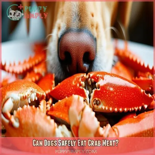 Can Dogs Safely Eat Crab Meat