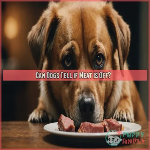 Can Dogs Tell if Meat is Off