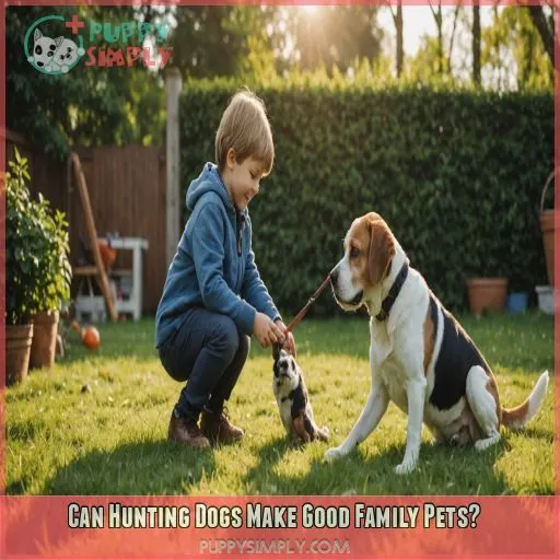 Can Hunting Dogs Make Good Family Pets