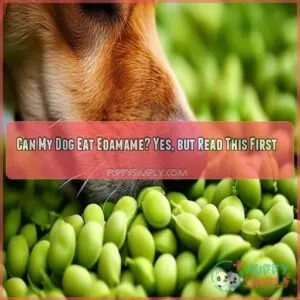 can my dog eat edamame