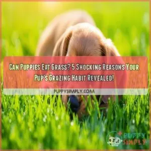 can puppies eat grass