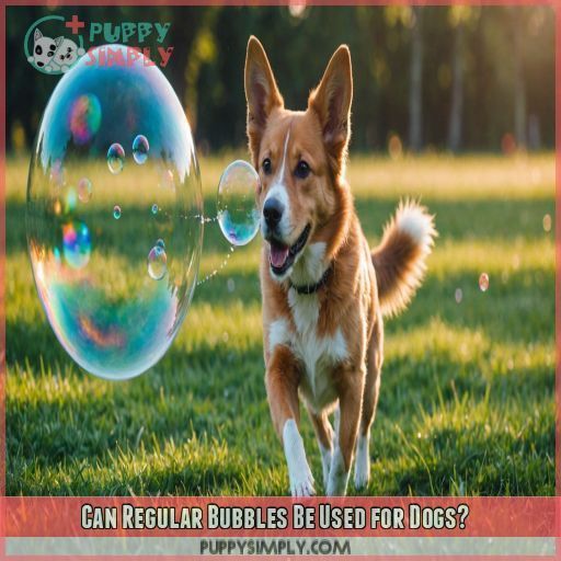 Can Regular Bubbles Be Used for Dogs