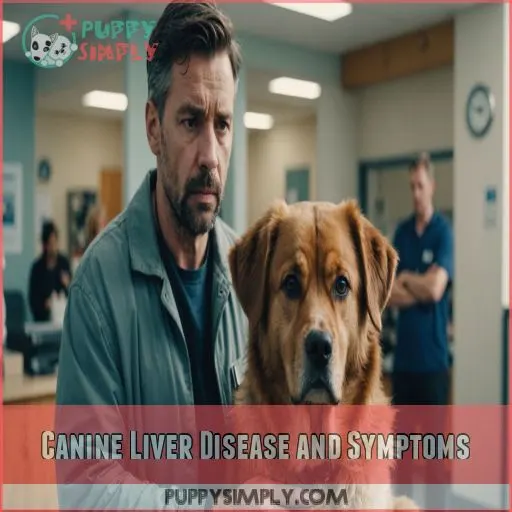 Canine Liver Disease and Symptoms