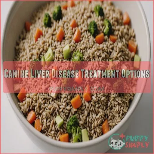 Canine Liver Disease Treatment Options