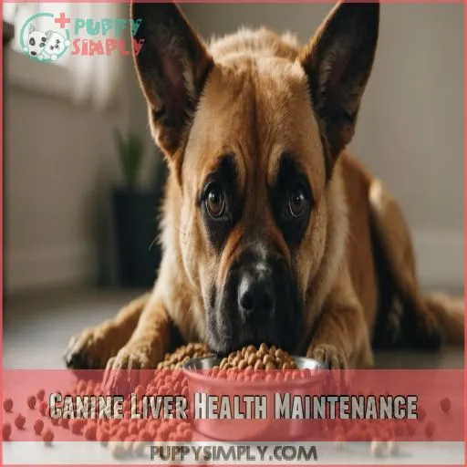 Canine Liver Health Maintenance